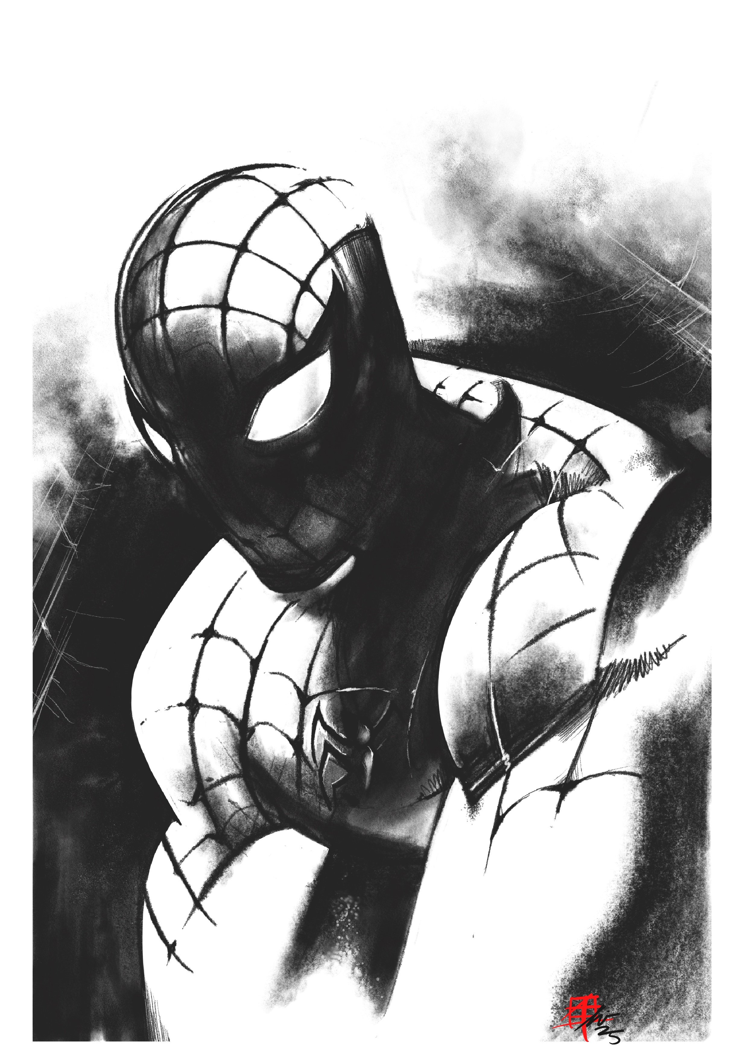 Spidey print.jpeg