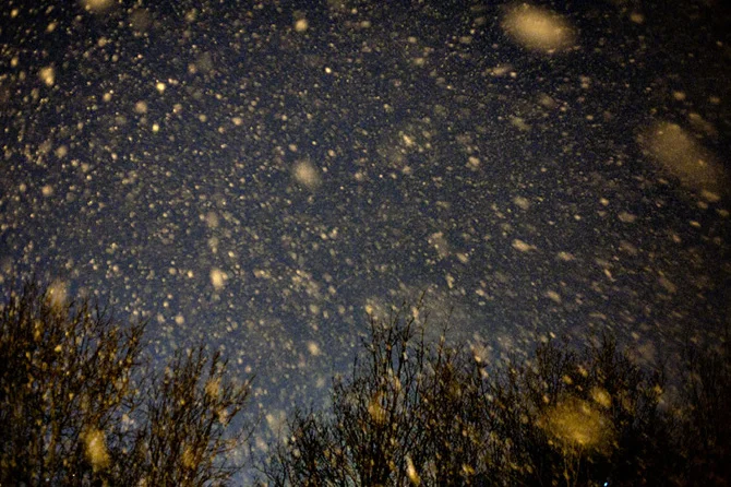 02_InThe AbsenceOfThings.jpg