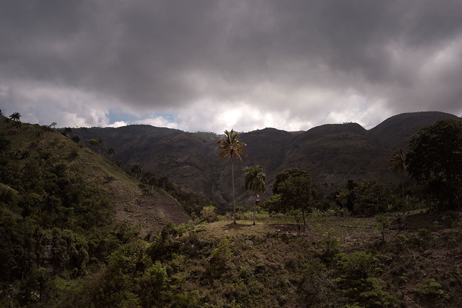 03_BackToThe Land.jpg