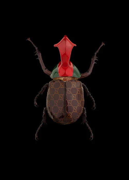 GUCCI BEETLE IMAGE FIVE.jpg