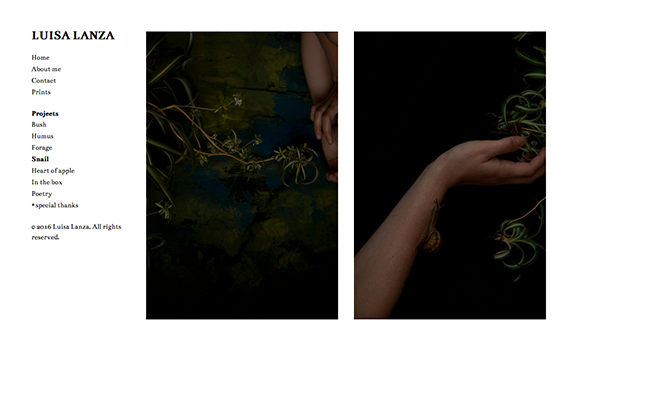 Snail-Luisa_Lanza_03.png