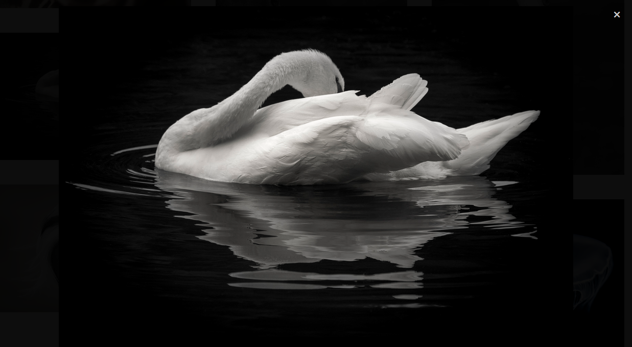 Screen shot 2017-02-26 at 18.02.41.png