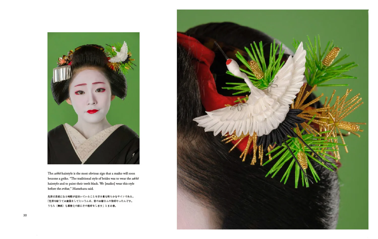 Now-a-Geisha-pages-30-1.jpg