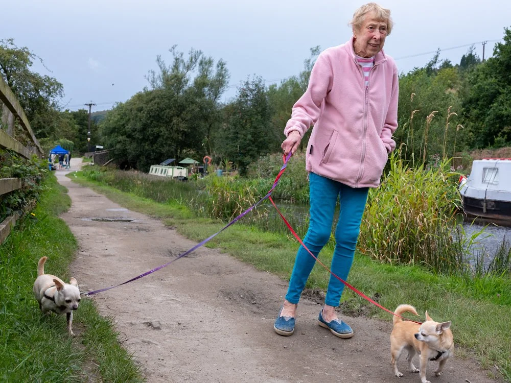 Dog walker.jpg