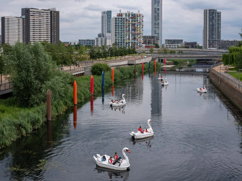 London swan.jpg