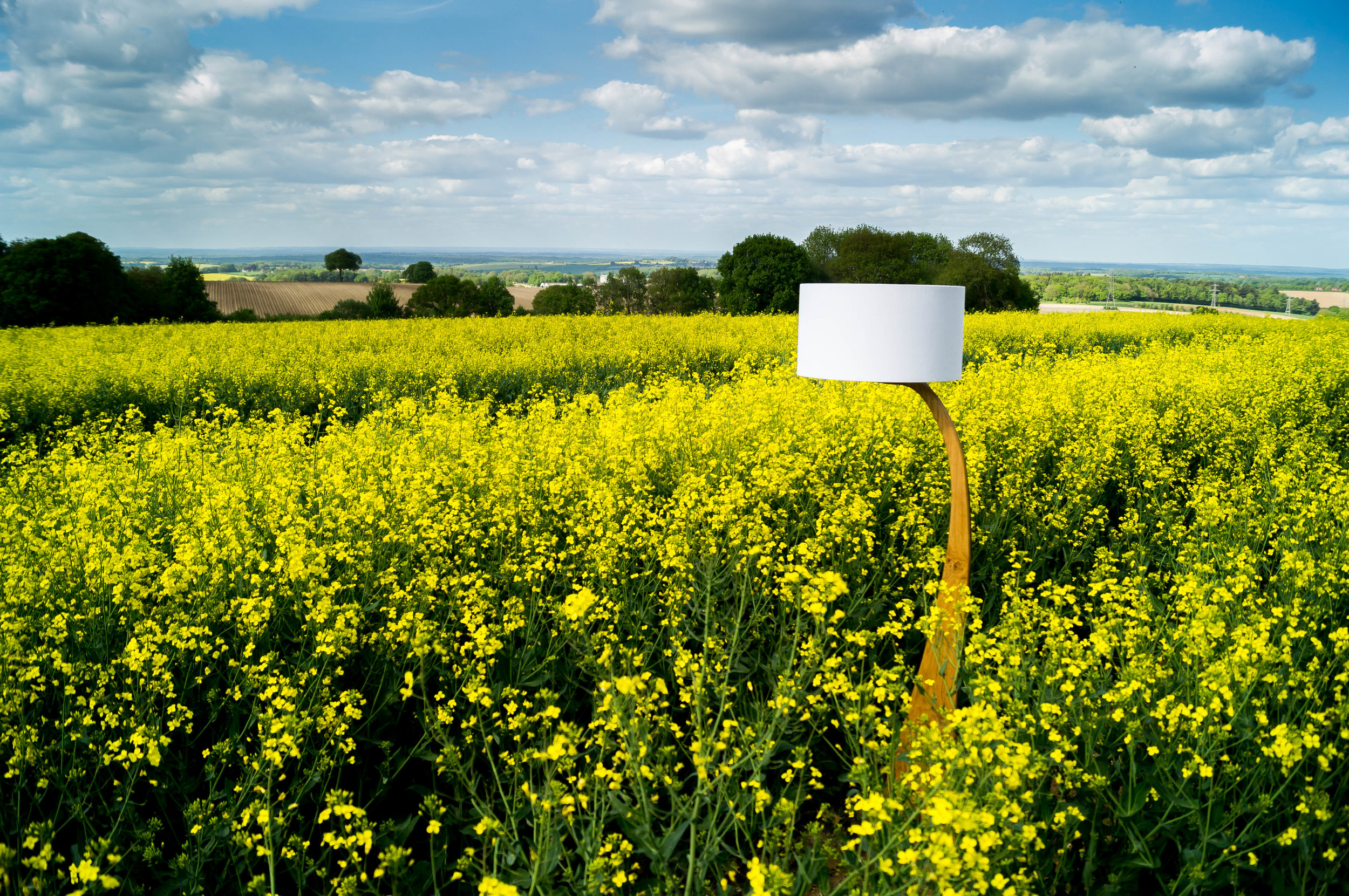 Rapeseed Flow lamp 2 2.jpg