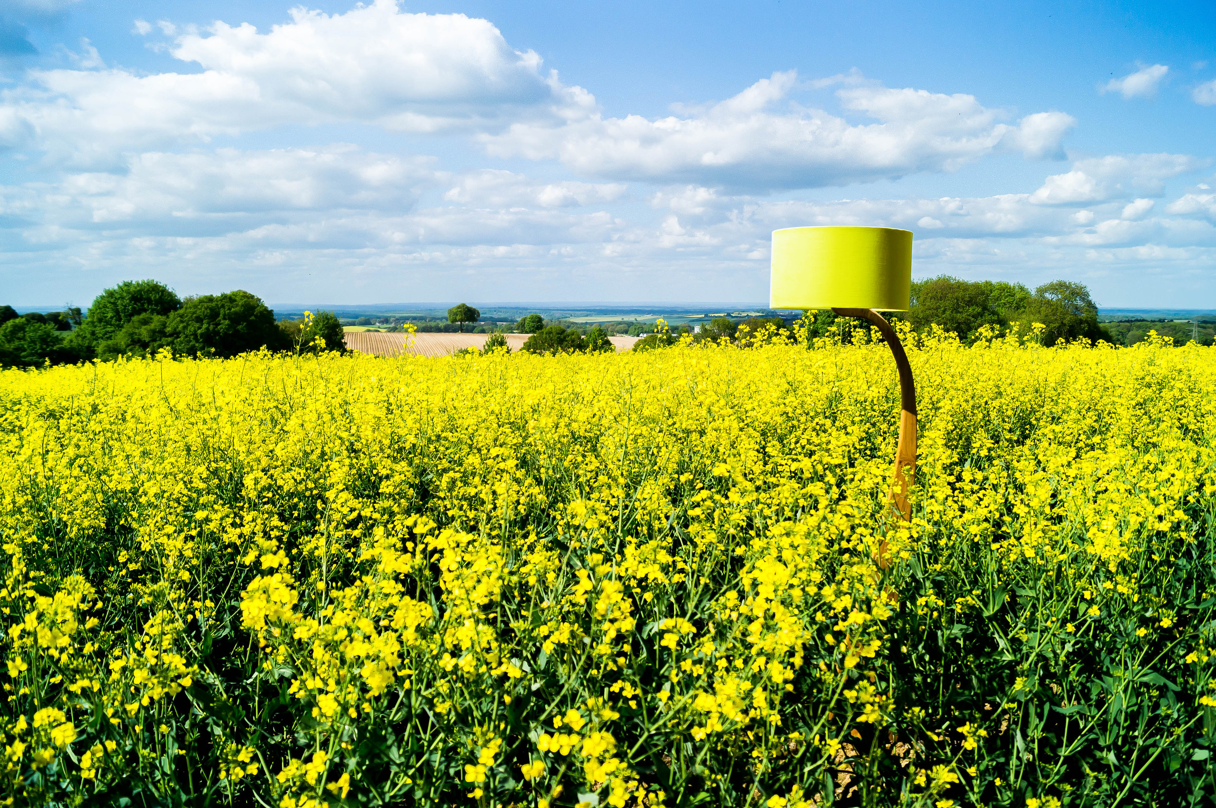 Rapeseed Flow lamp 1.jpg