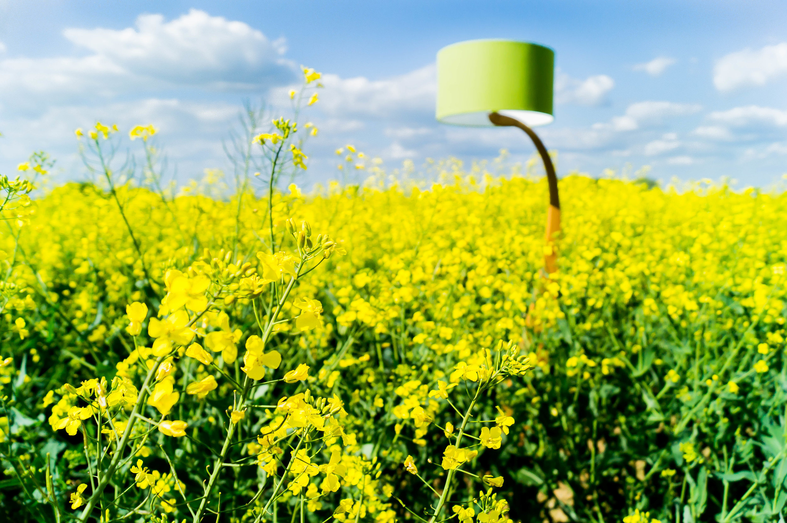 Rapeseed Flow lamp 4.jpg