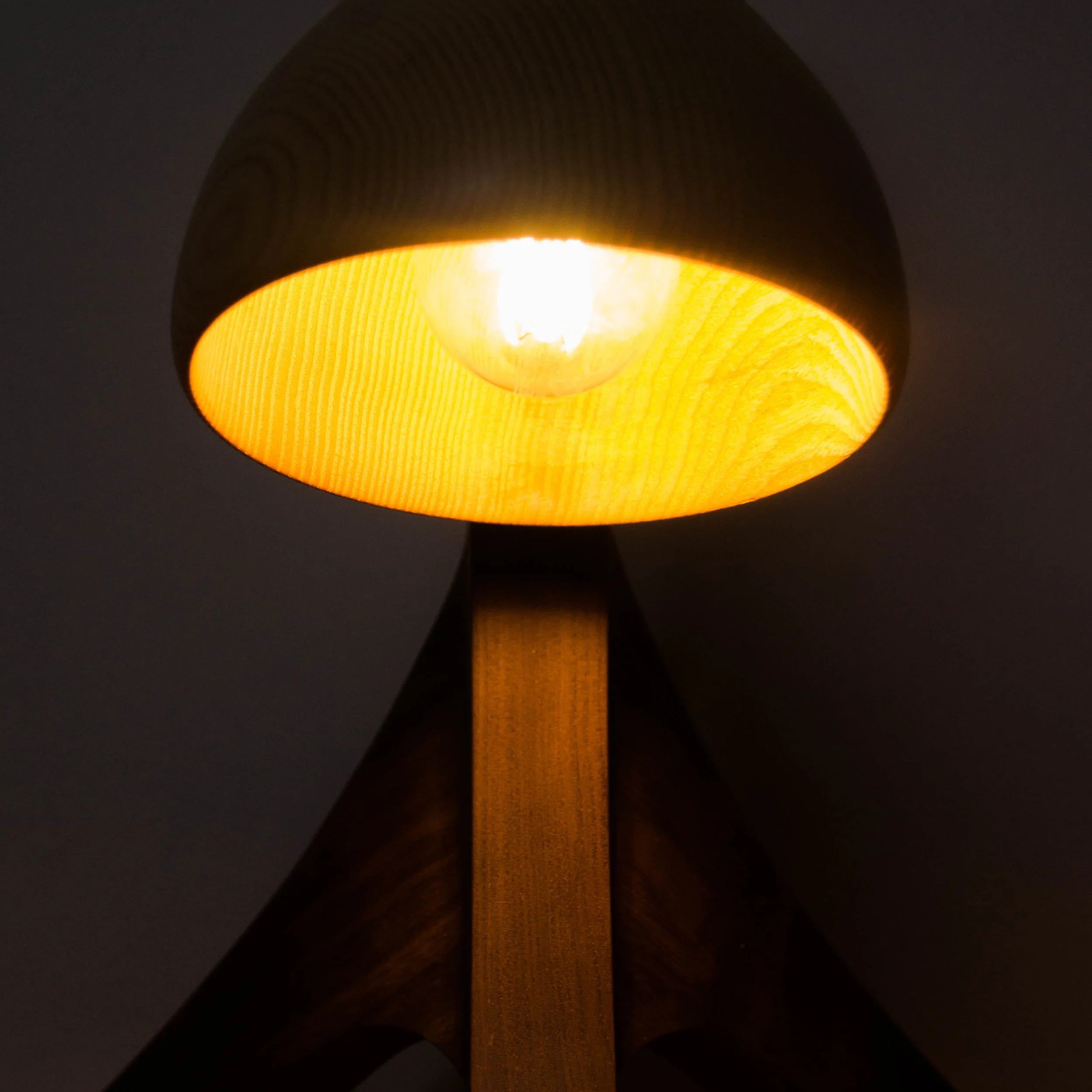 Desk lamp (5 of 18)-001.jpg