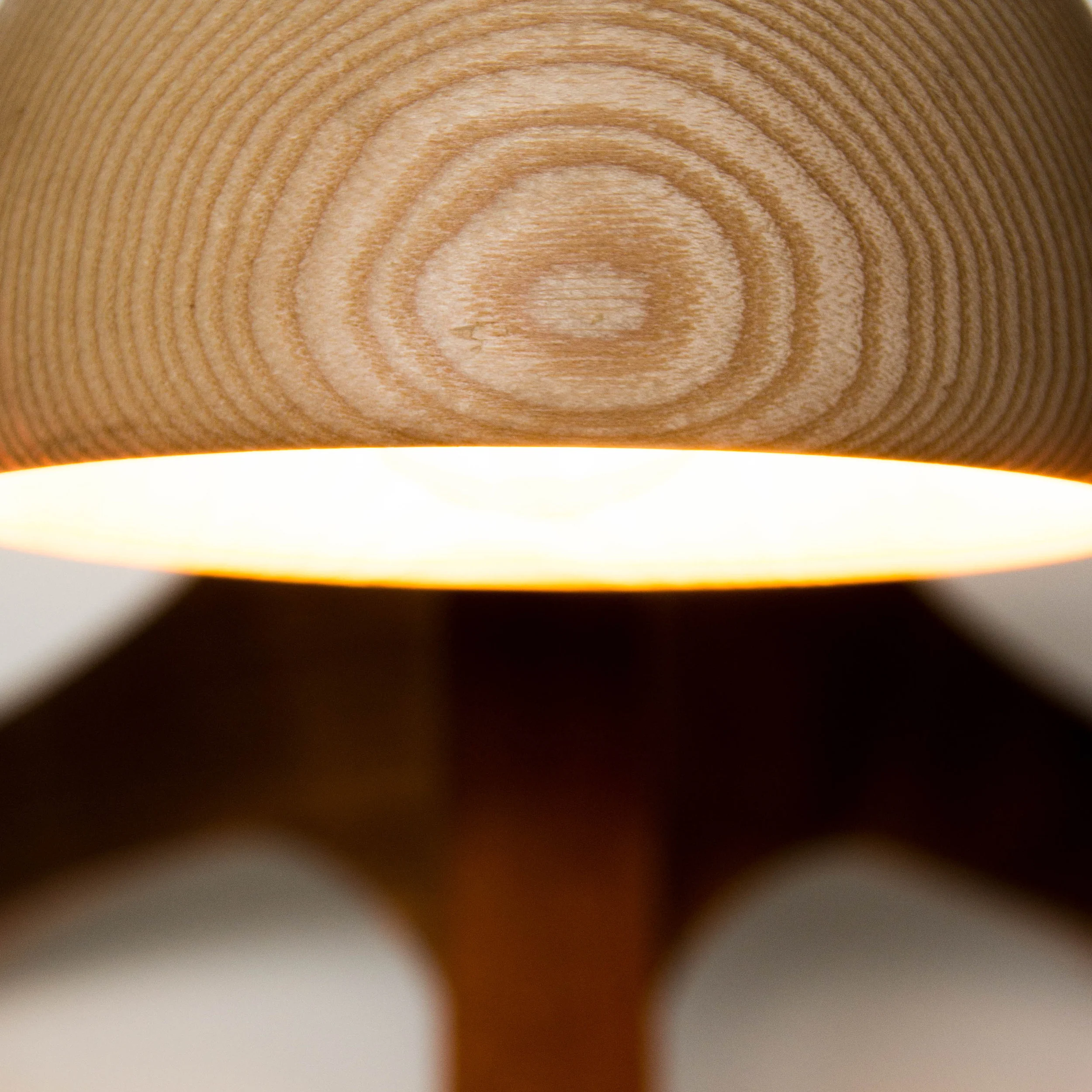 Desk lamp (18 of 18)-001.jpg
