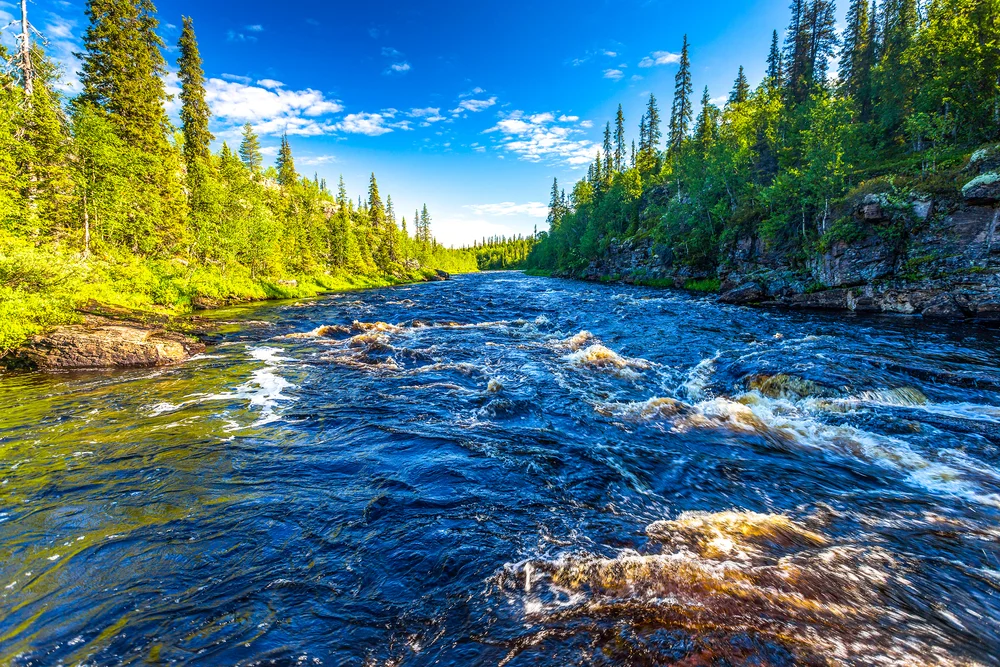 shutterstock_575340148.jpg