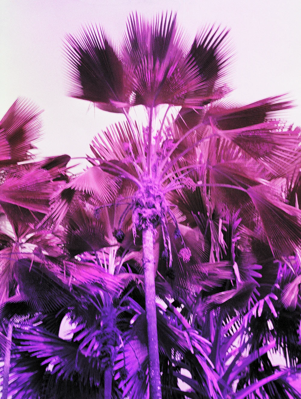 Let's go. The palms are glowing again.01.jpg