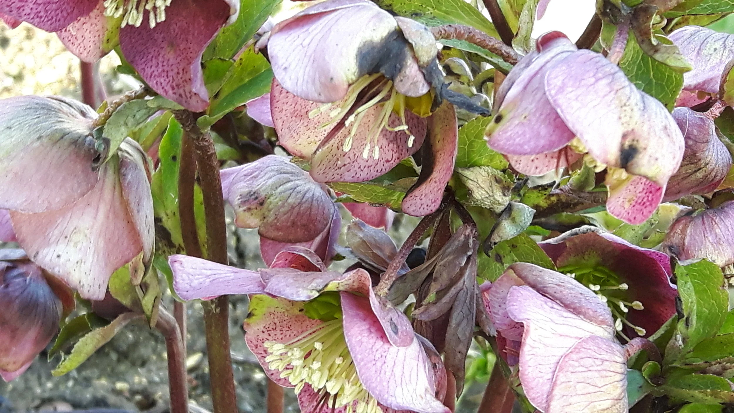 20180221_143737.jpg