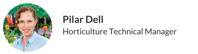 Pilar Dell blog head.png