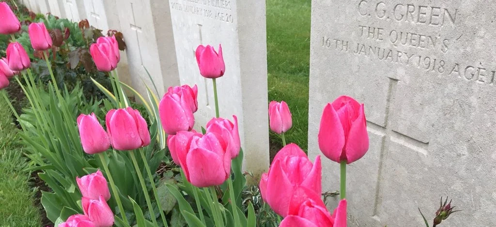 A seasonal blast of colour at Fins New British Cemetery, Sorel-le-Grand, France, this week, captured by Tim Thurlow