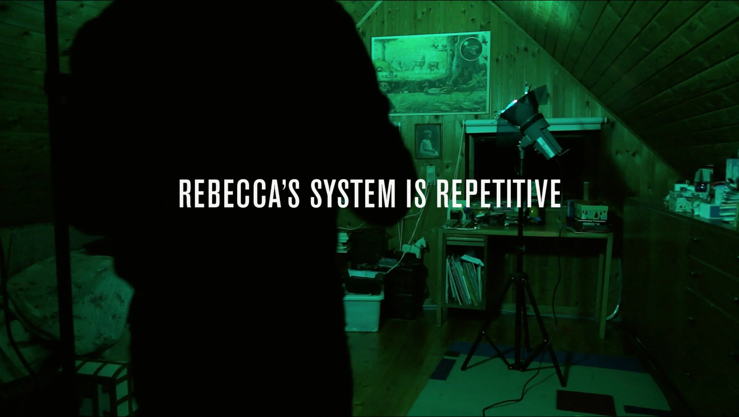 Rebecca's System. "Rebecca's System", HD Video, 21'00", Still from video, 2016