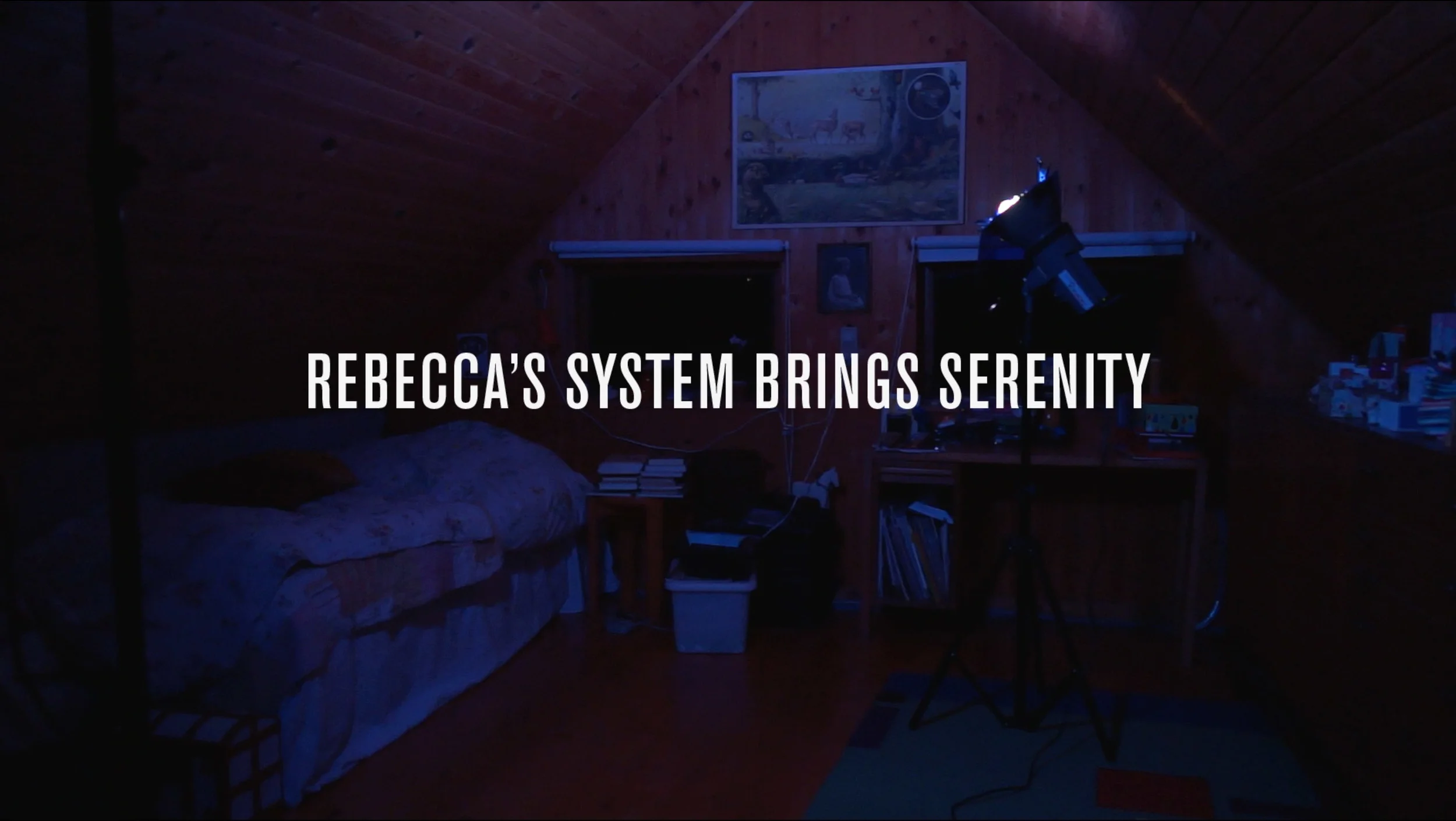 Rebecca's System. "Rebecca's System", HD Video, 21'00", Still from video, 2016