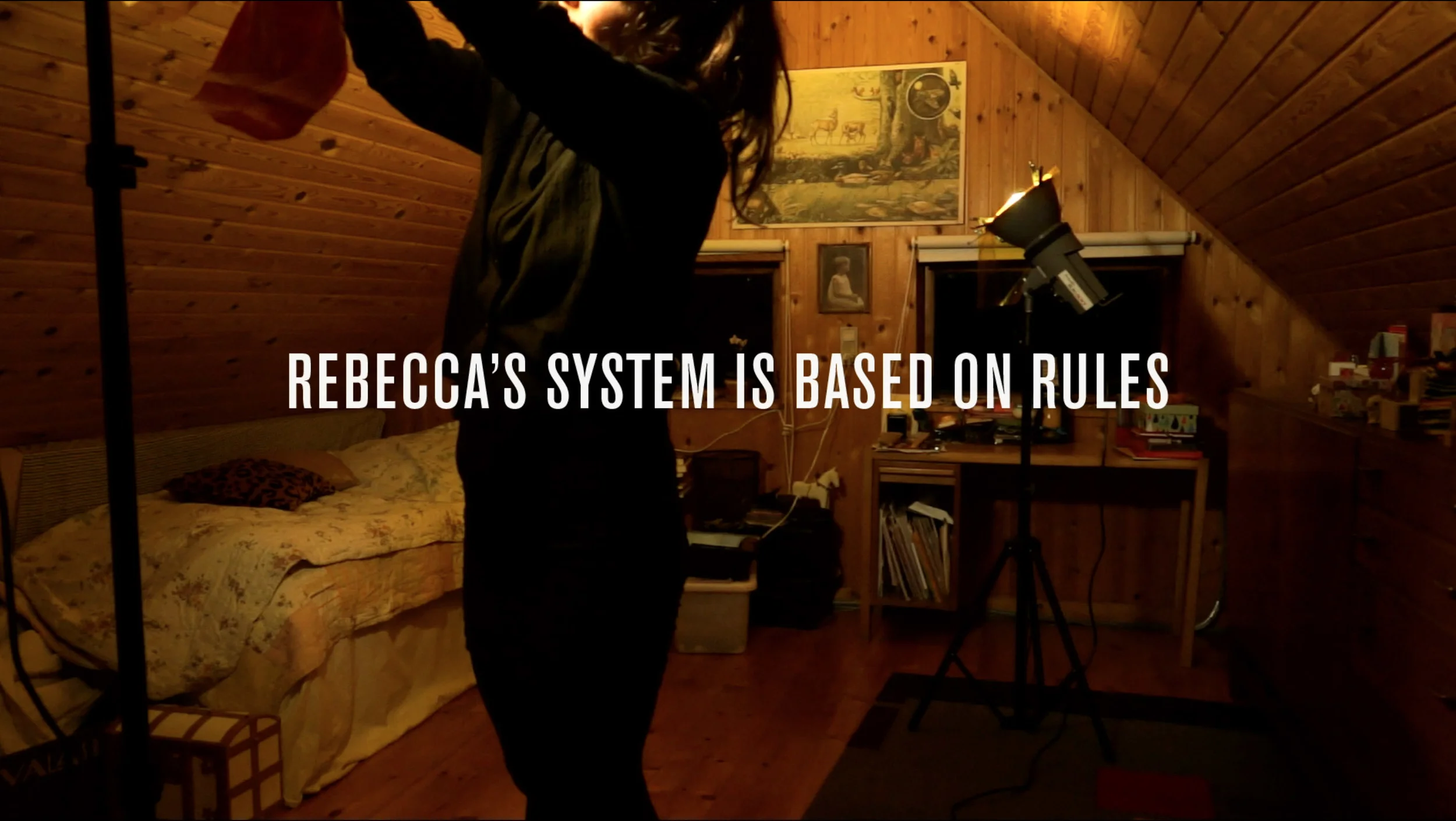 Rebecca's System. "Rebecca's System", HD Video, 21'00", Still from video, 2016