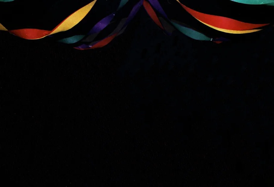 Happy New Year, Dear. C-Print, 2013