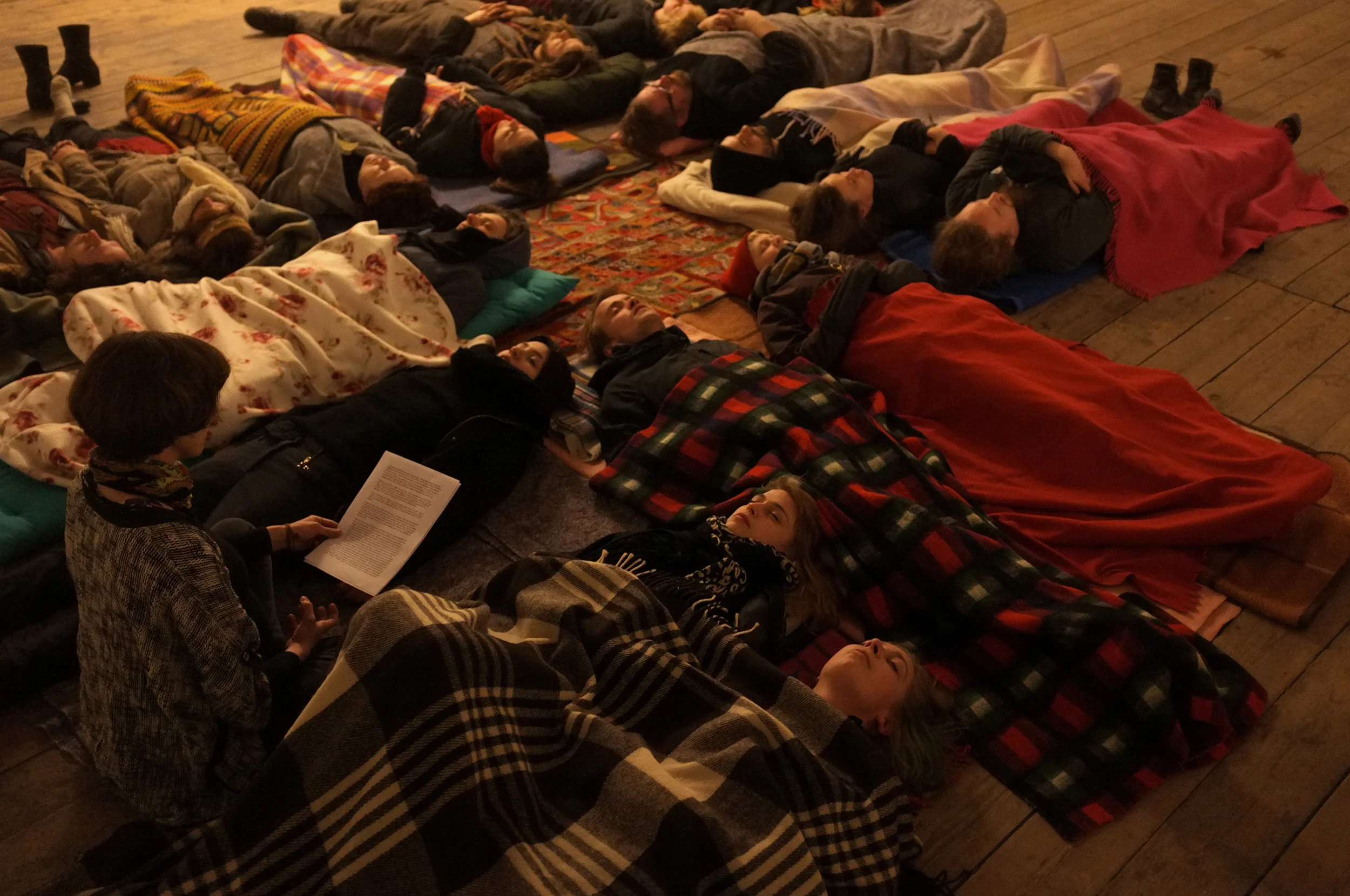 Frisk Flugt - Growing Silent. J&K performance at New Shelter Plan, 2015