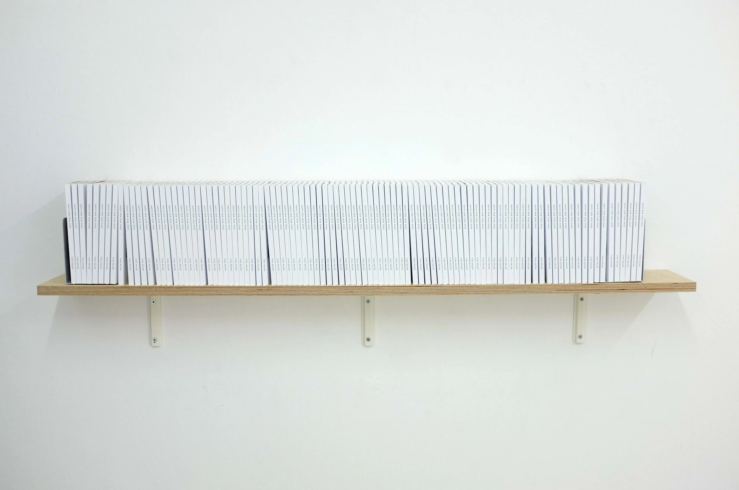 Happy New Year, Dear. Installation view at bureau publik, 2013
