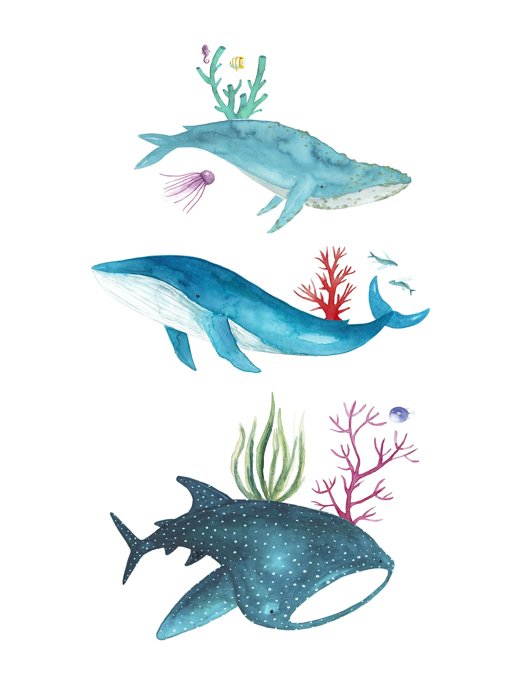 MCJ_20-12-1 Ocean Creatures.jpg