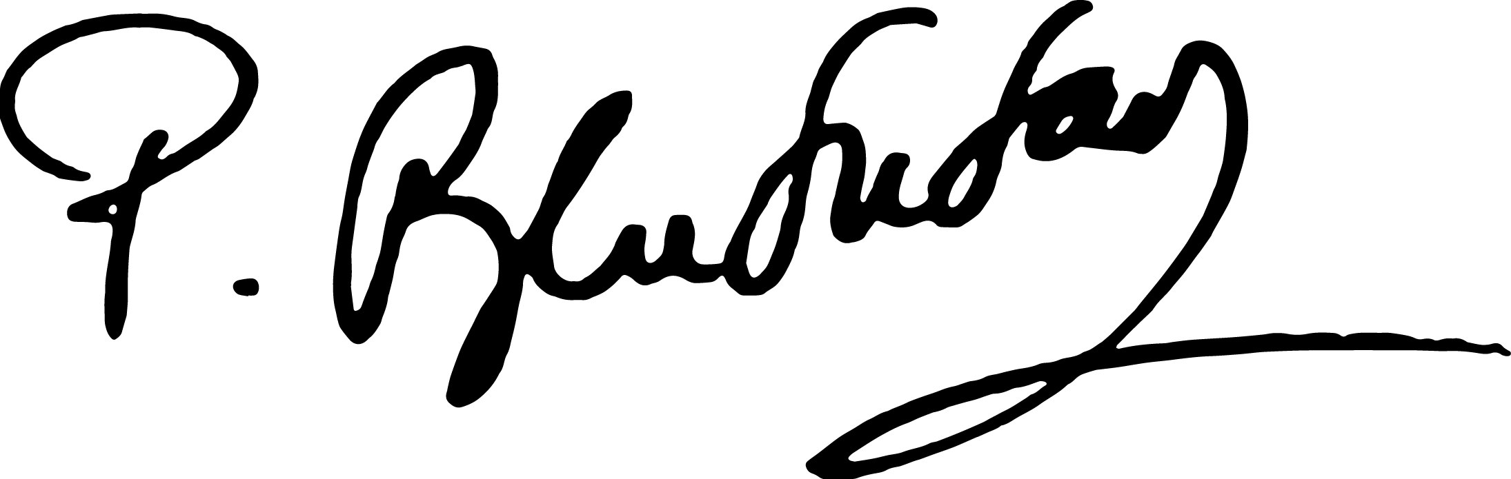 NATHAN SIG.png