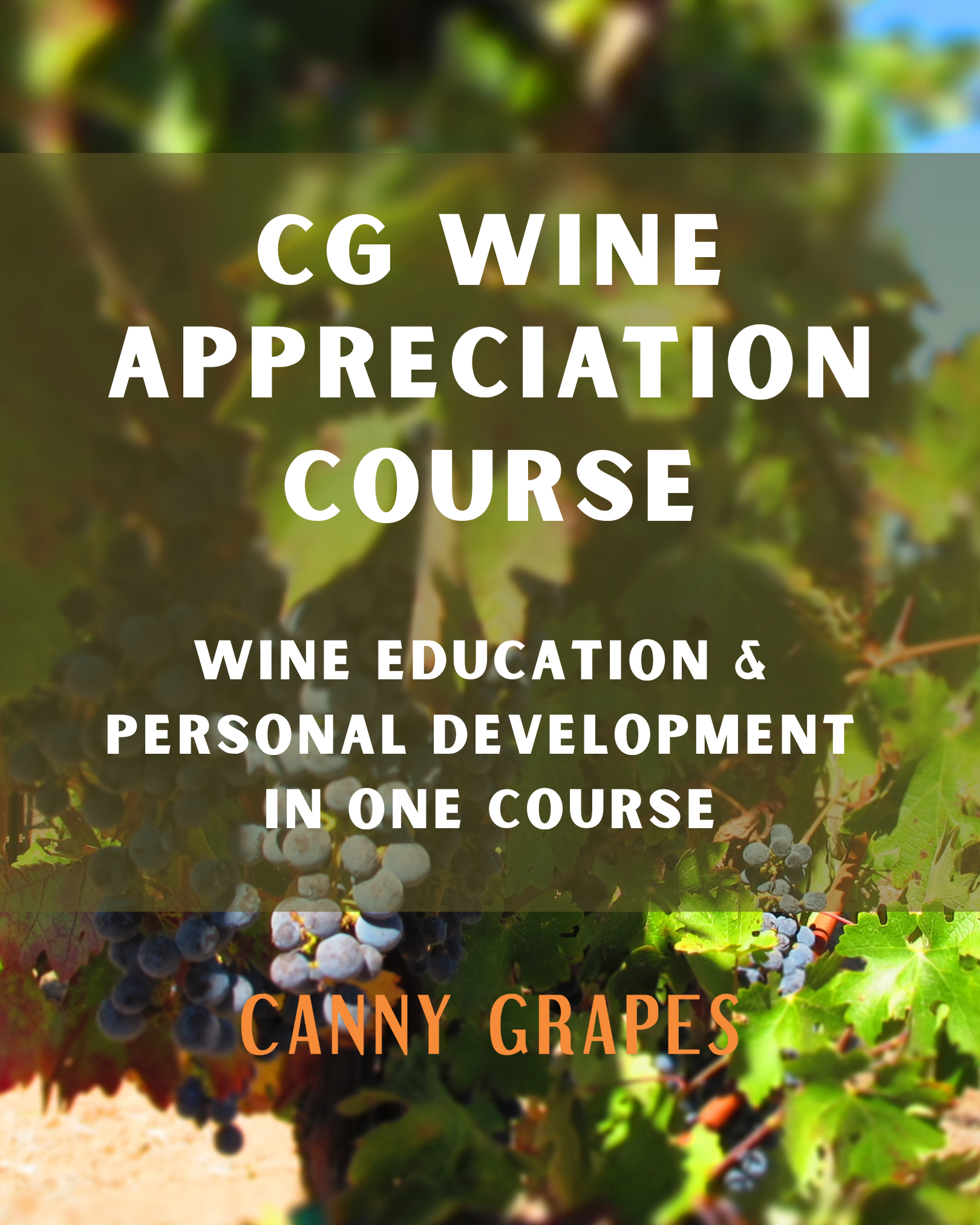 Perth Wine Appreciation Course by Anja Lewis Canny Grapes Wine Education 23rd May 2026