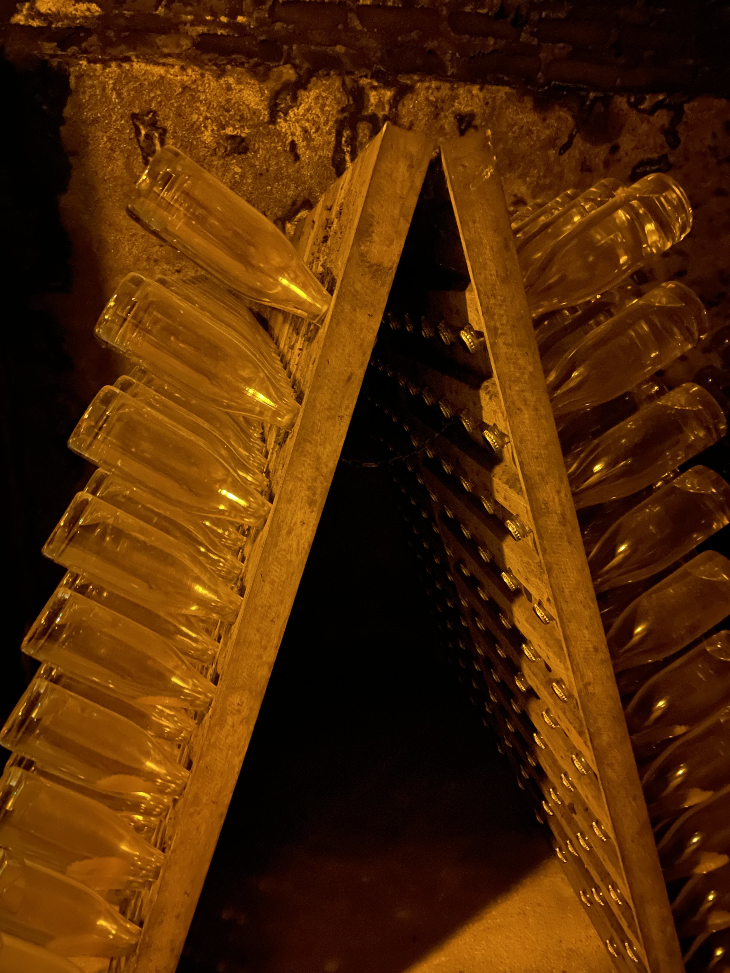 IMG_5285.jpeg