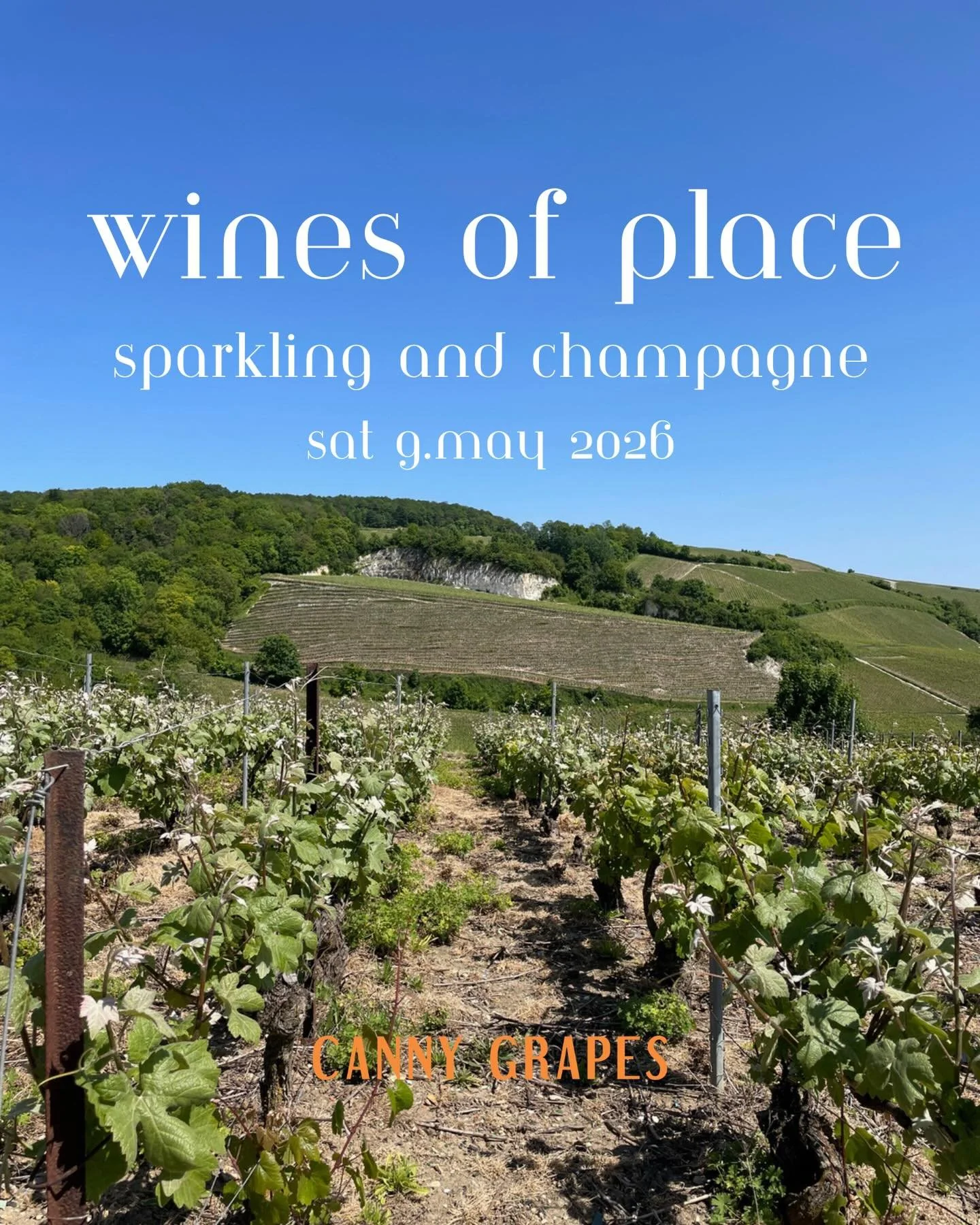 WINES OF PLACE is a trilogy inviting you to taste and learn about wine from a different view point, tasting wines that carry the energy of connection, personality and true essence. 

It takes a deep understanding and respect of the land, a visionary 