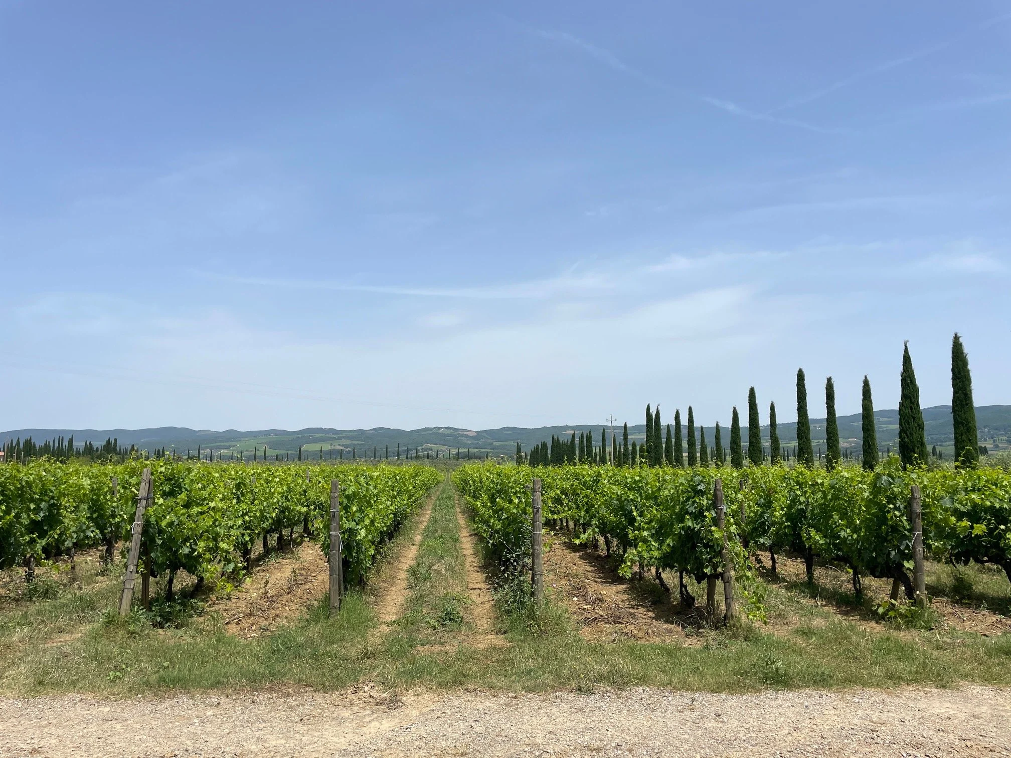 Tuscany Antinori vineyard representing Wines of Place photo and events by Anja Lewis Canny Grapes Wine Education Perth