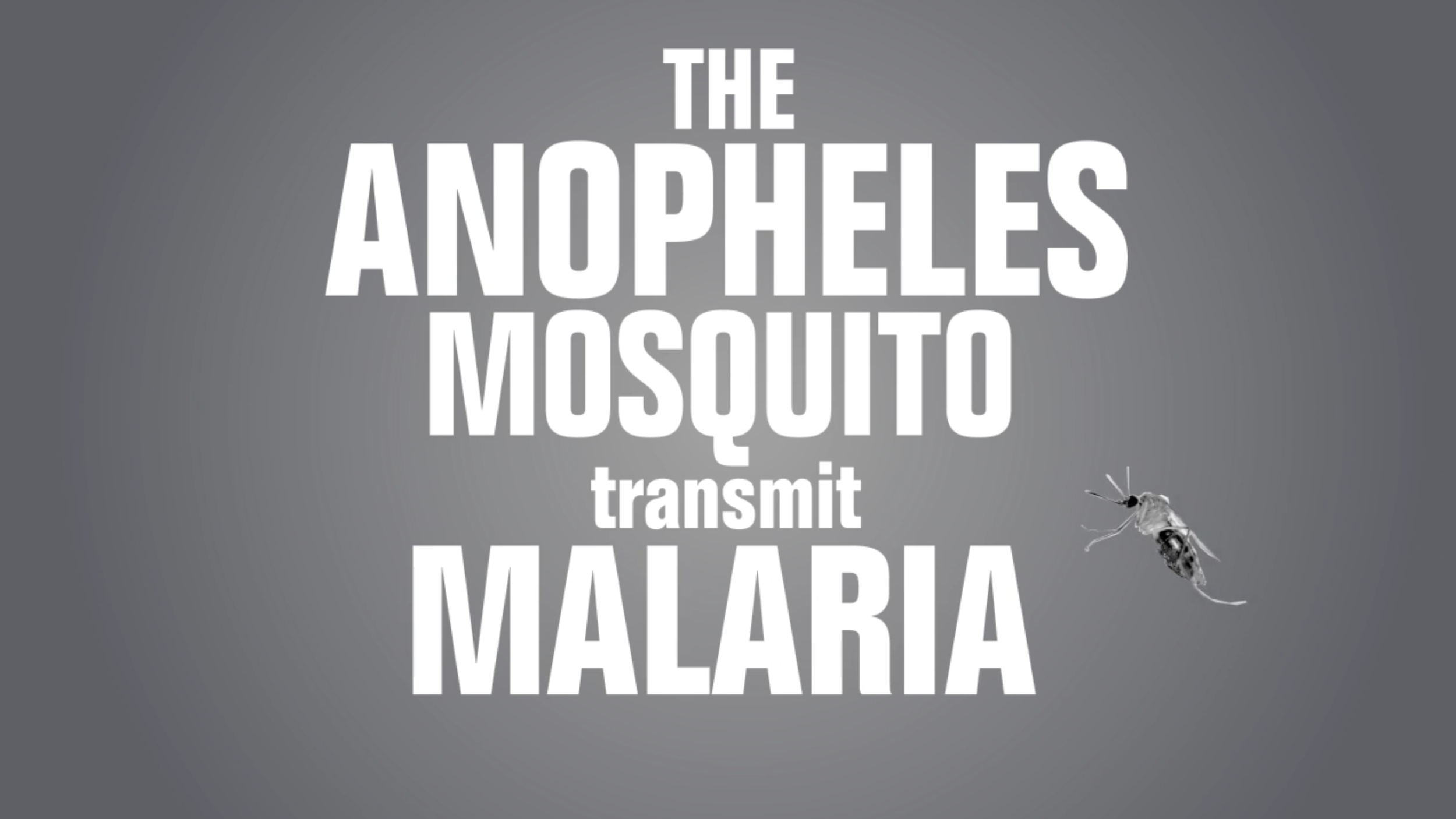 Mattia Cabras - Motion Design Kinetic Typography.png