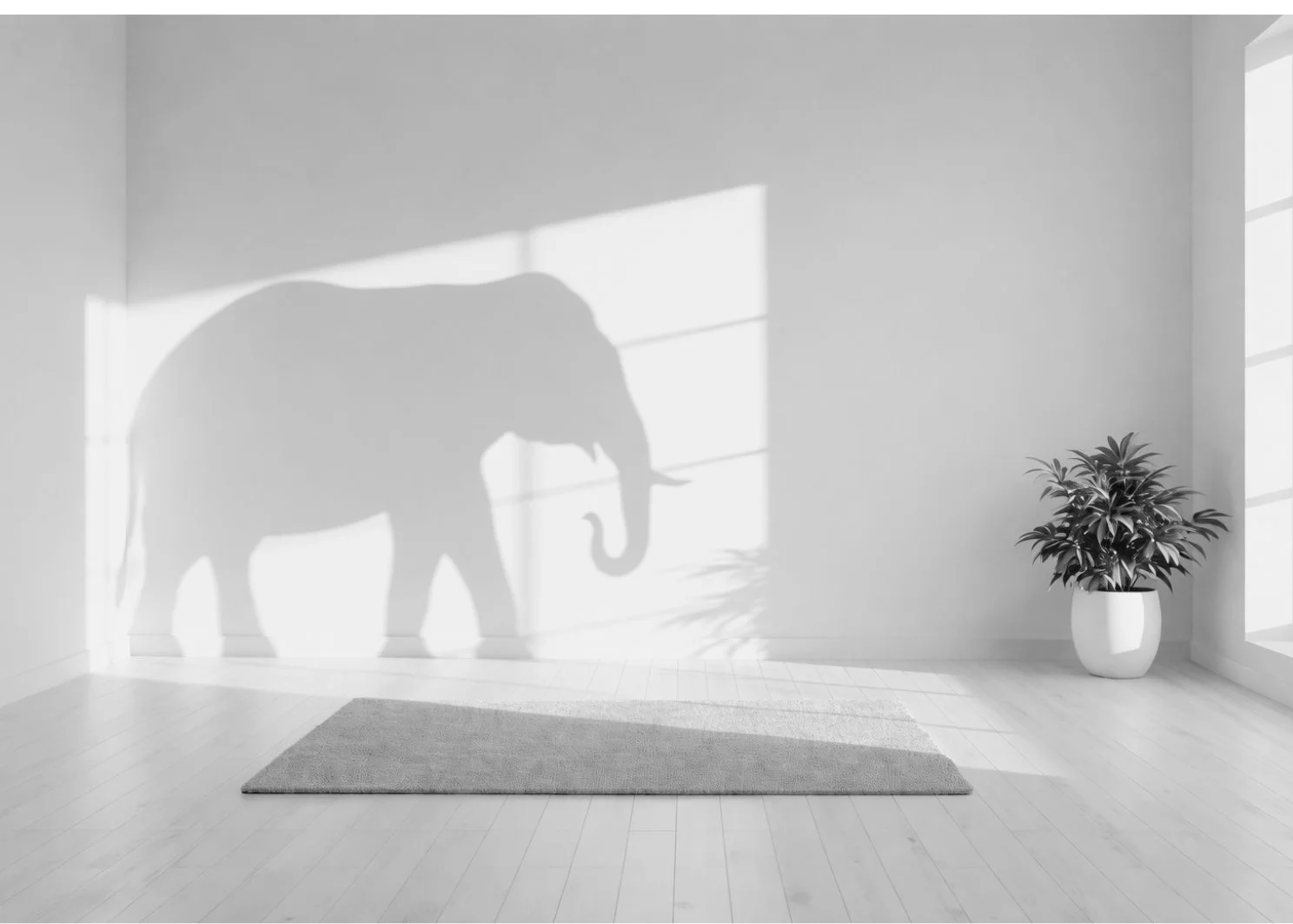 Functional Dysfunction. What’s really going on in your senior team.