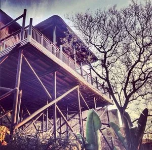 Guest House - Temple Botanica