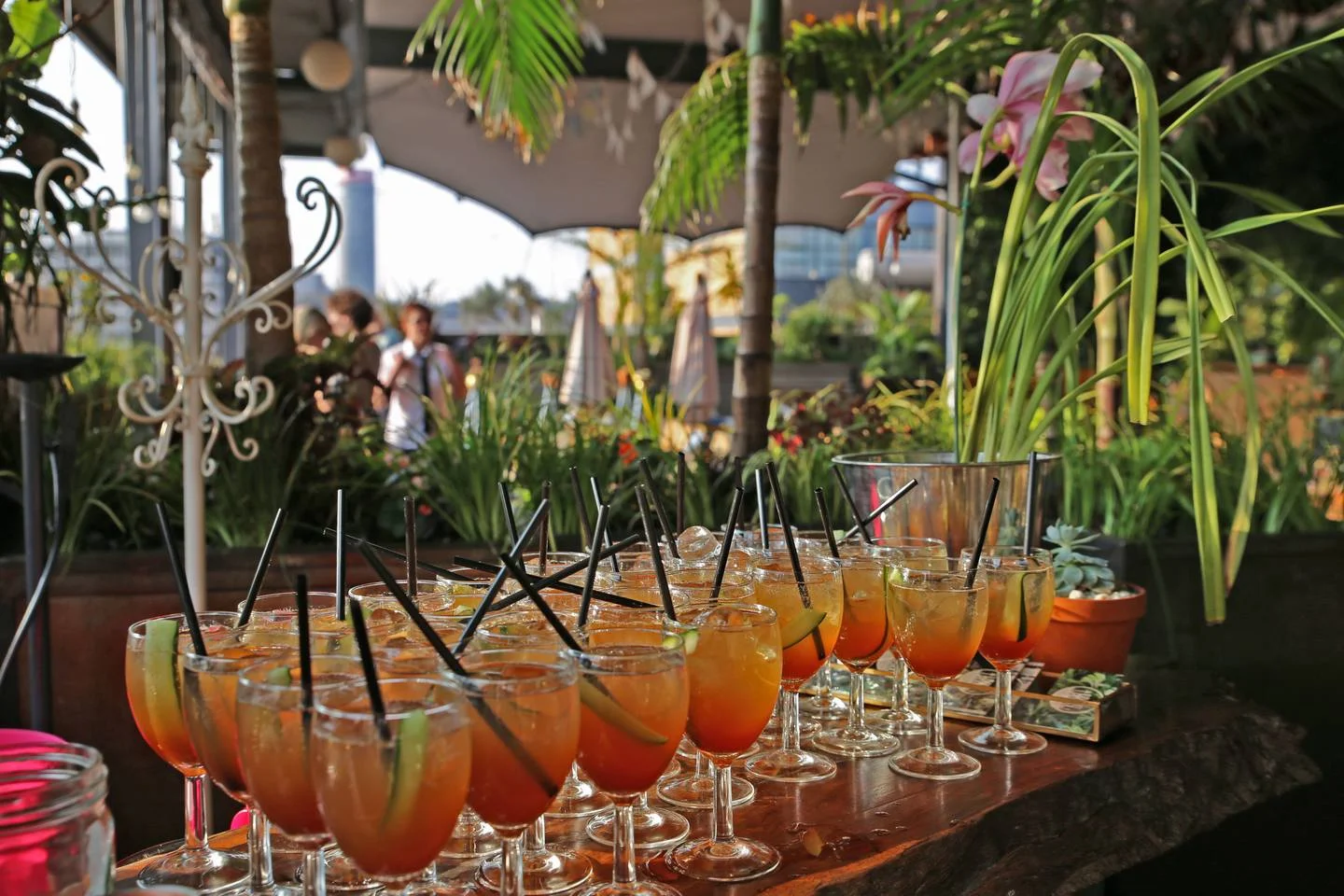 Welcome Drinks Private Function 2 Living Room