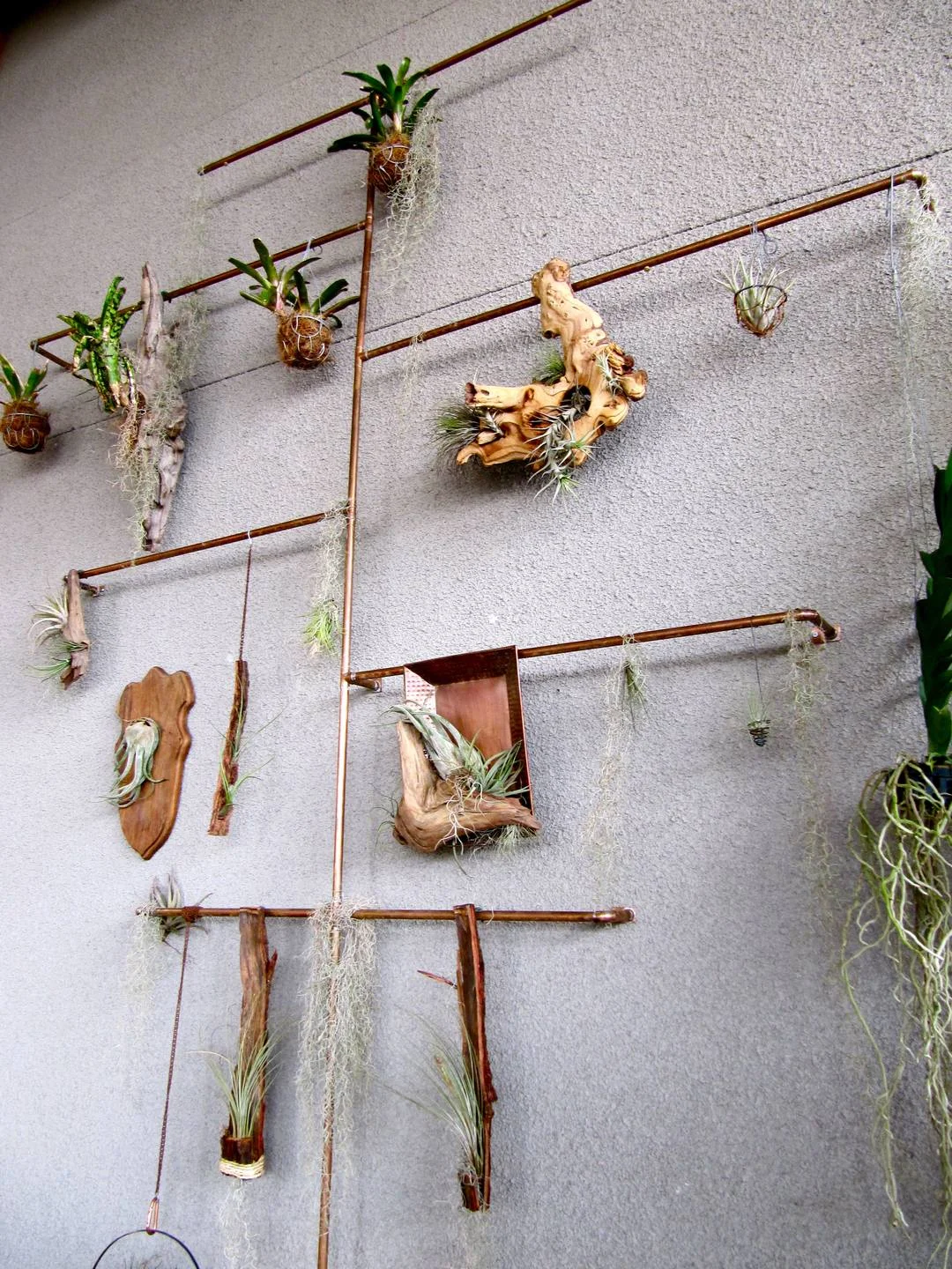 Copper Pipe Plant Display 3 Living Room Design