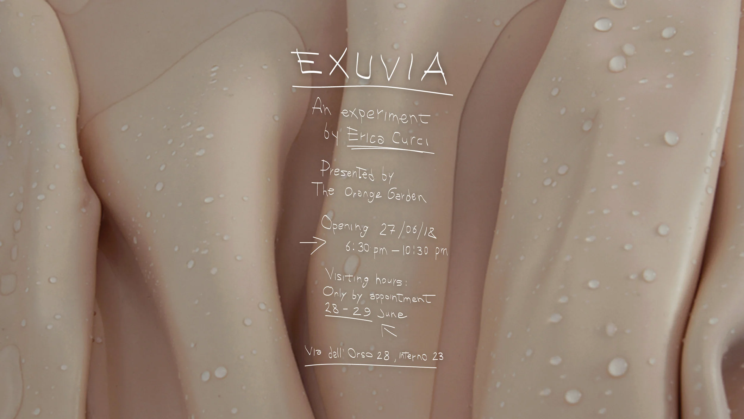 EXUVIA-LAST-ONE.jpg