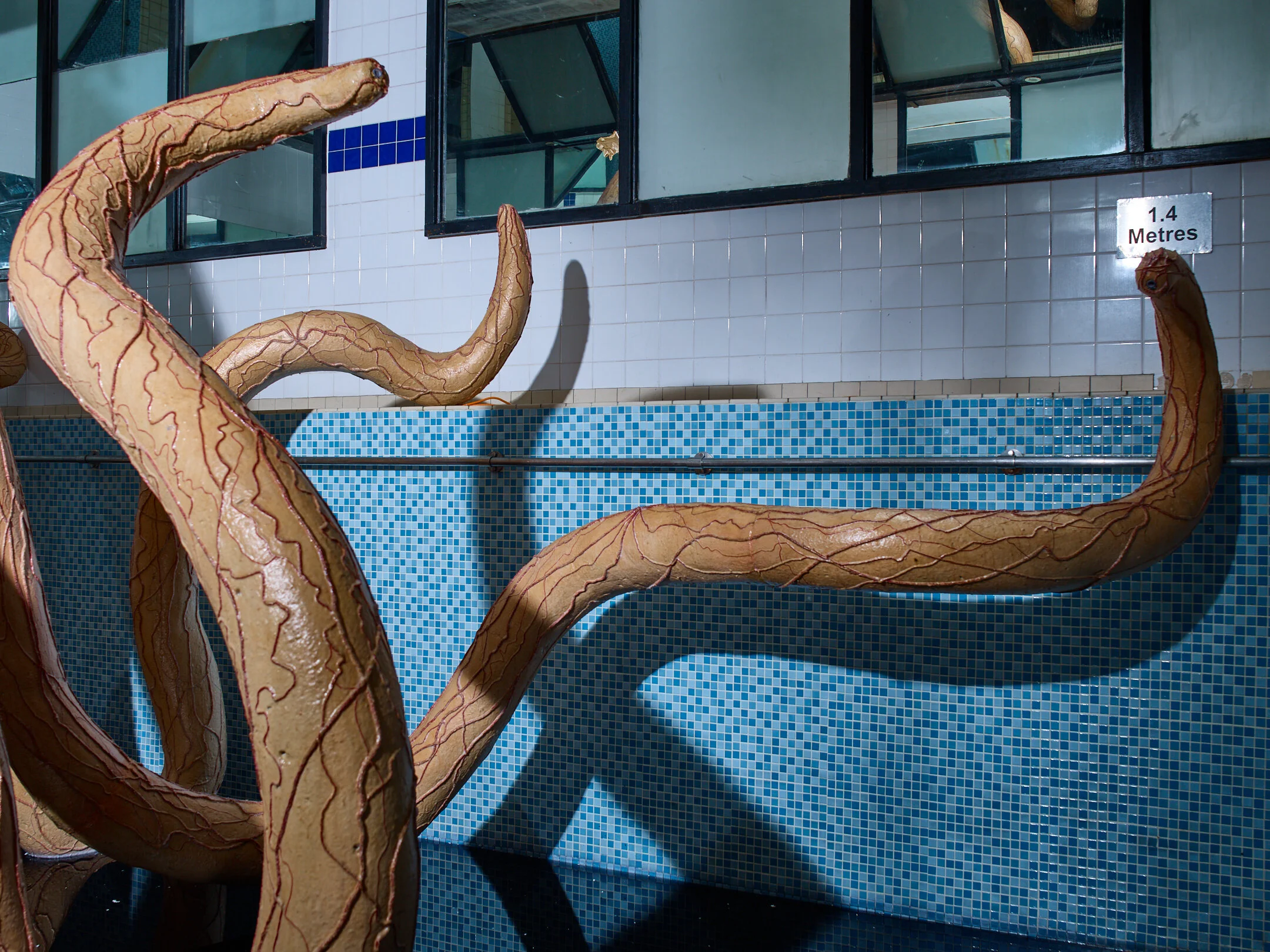 Octosapiens 3 by Stephen White _ Co..jpg
