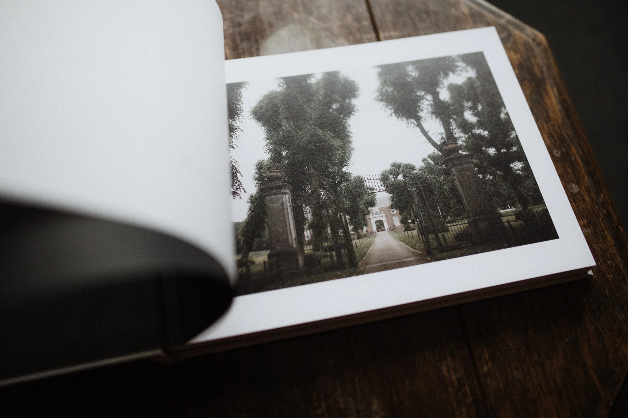 Albums by Martijn Roos--15.jpg