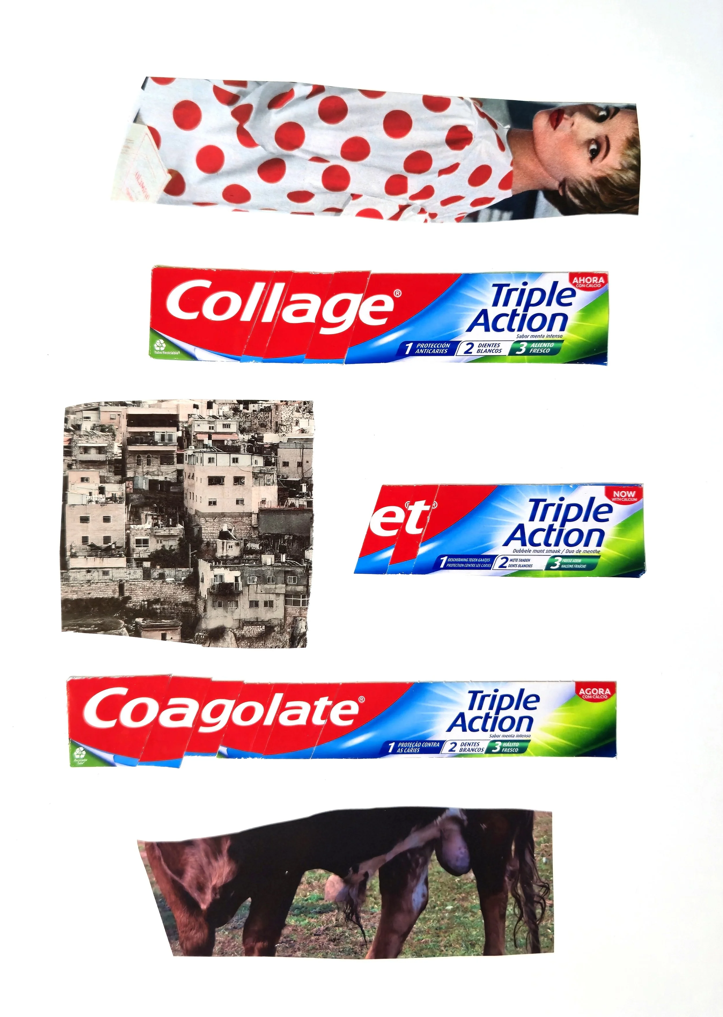 Collage et Coagulate.jpg