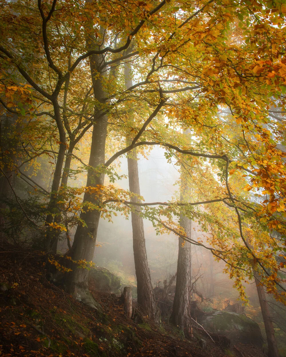 All photographs photo 138