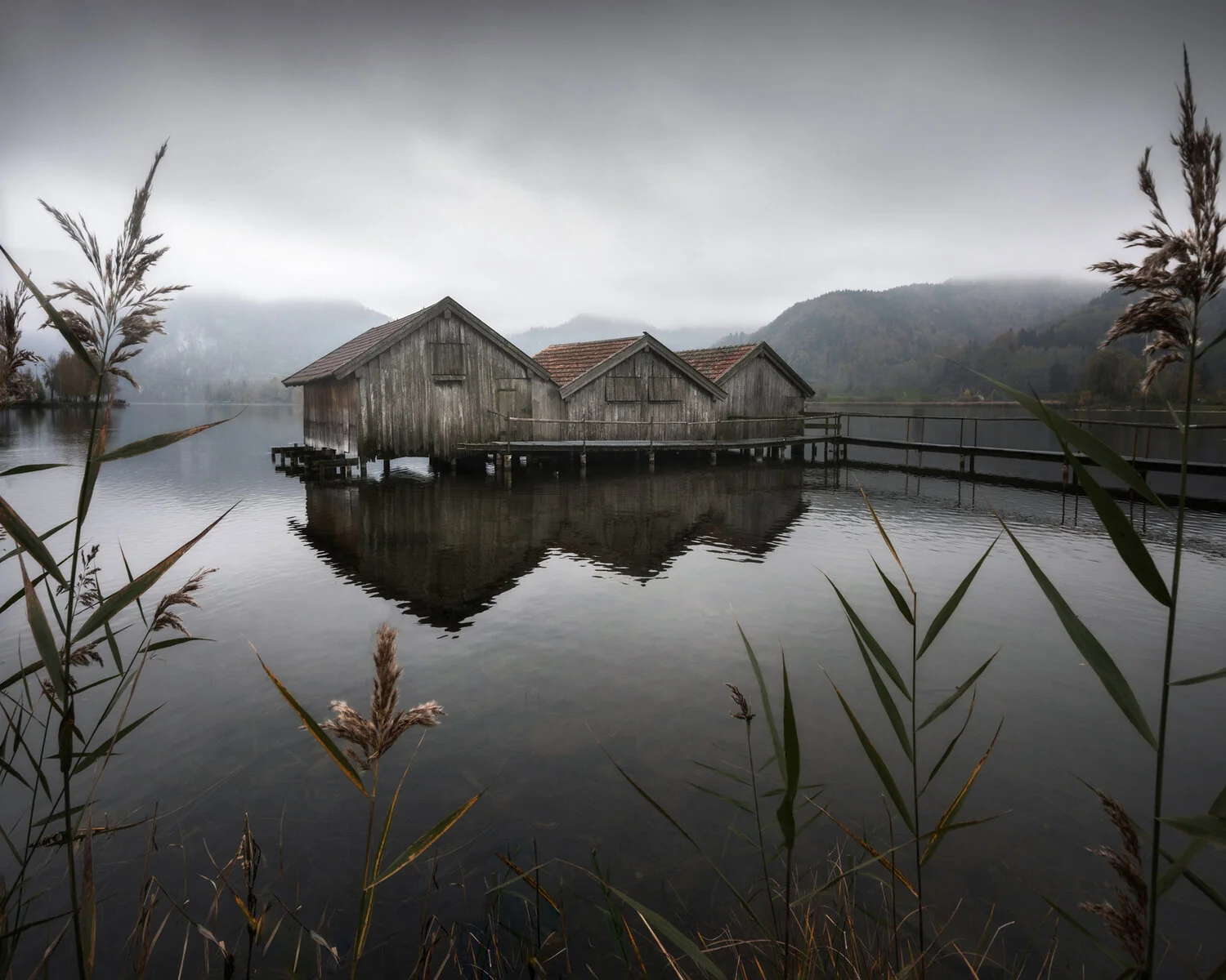 All photographs photo 104