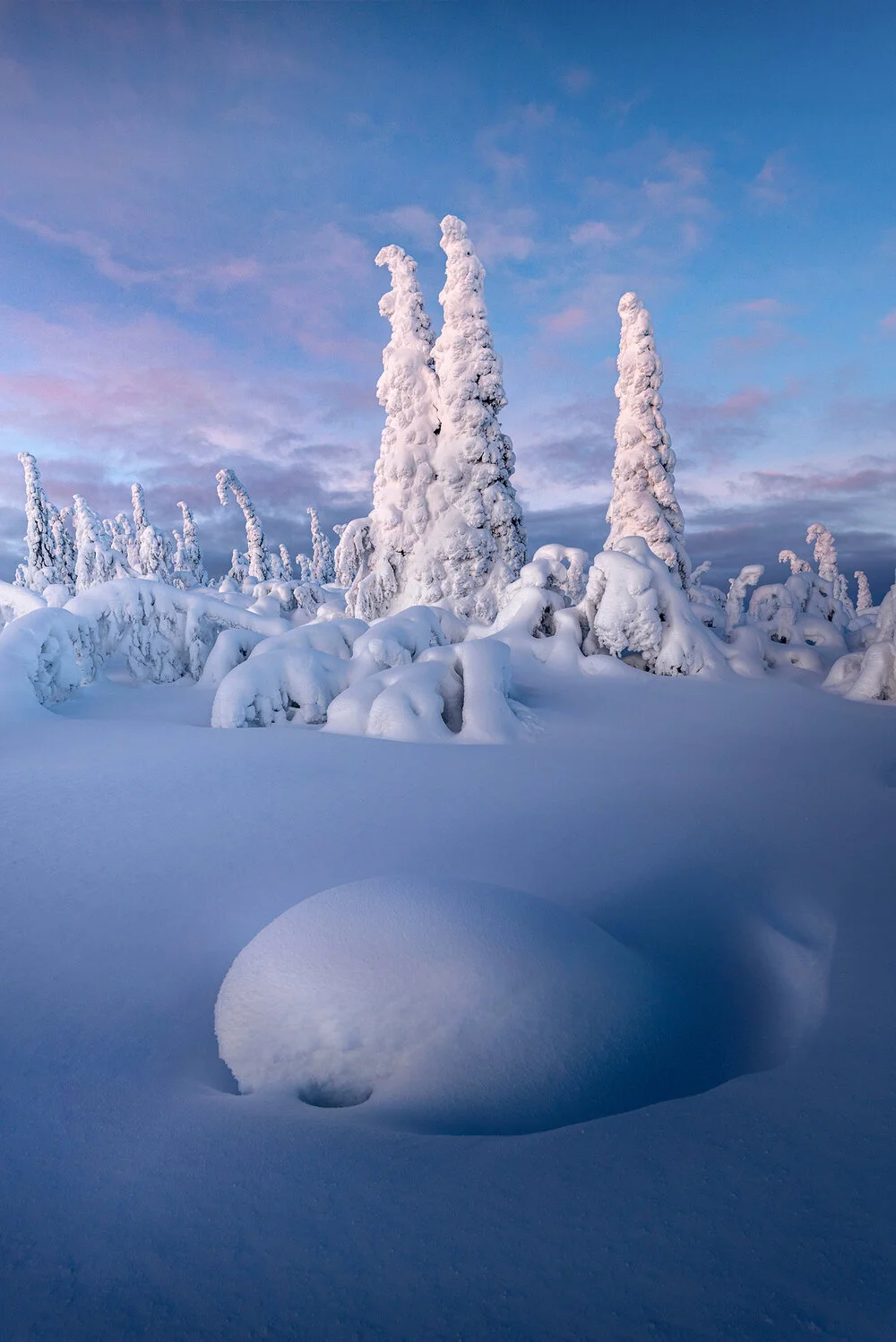 All photographs photo 75