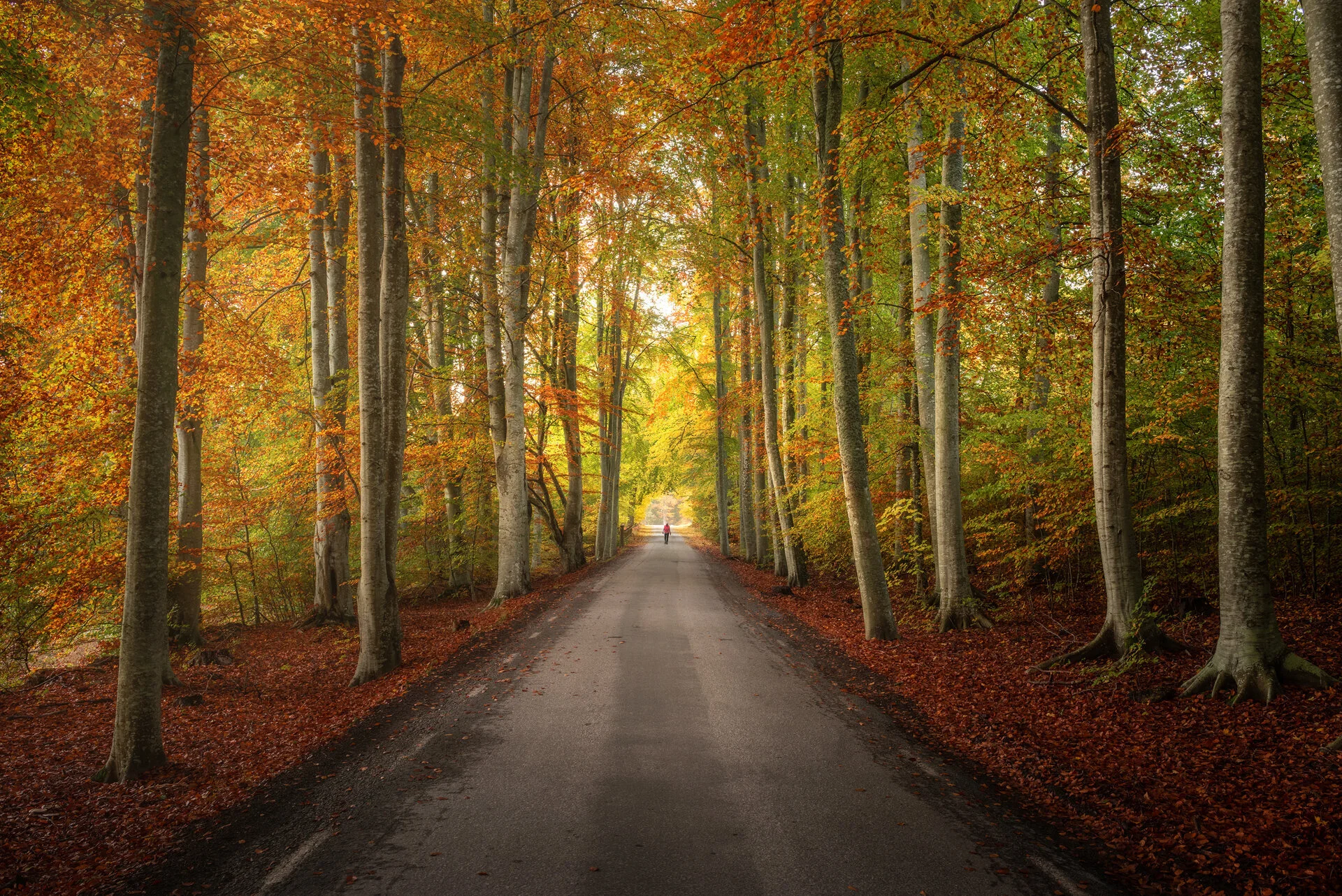 All photographs photo 153