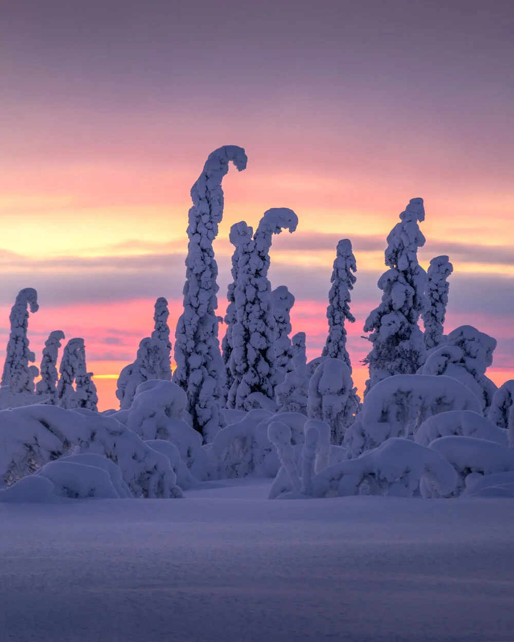 All photographs photo 157