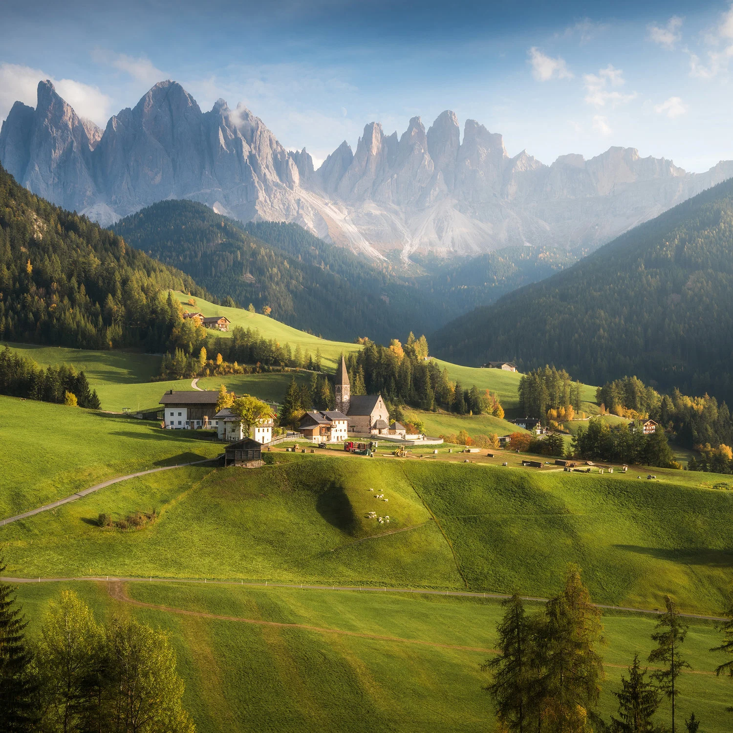 All photographs photo 168