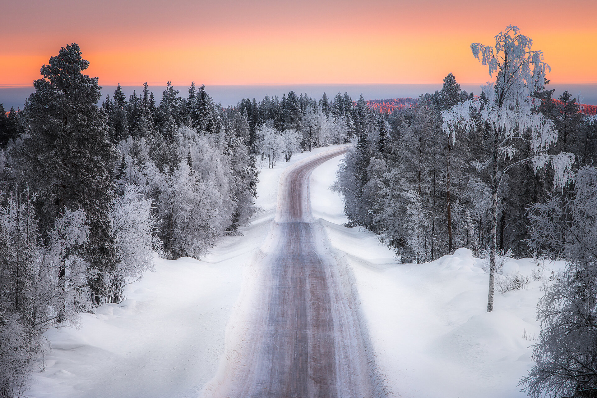 All photographs photo 171