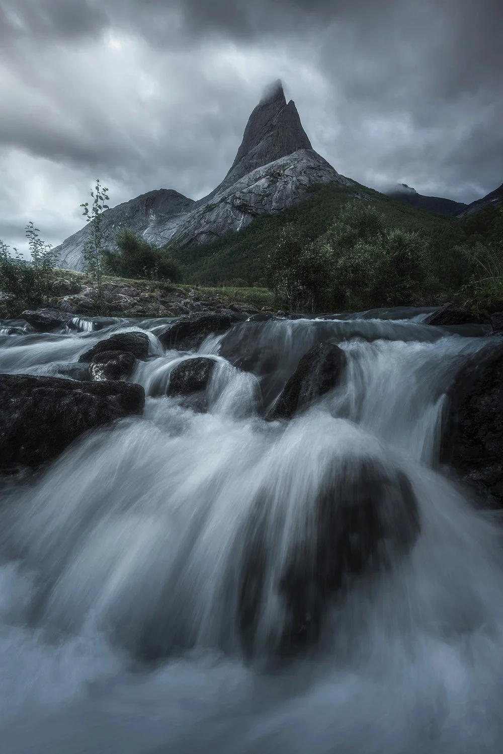 All photographs photo 183