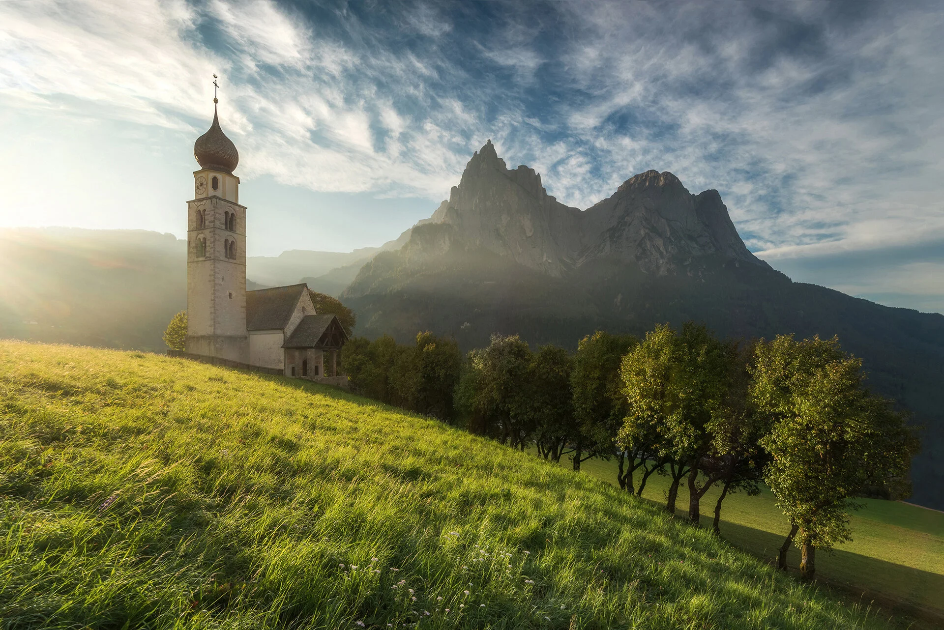 All photographs photo 11