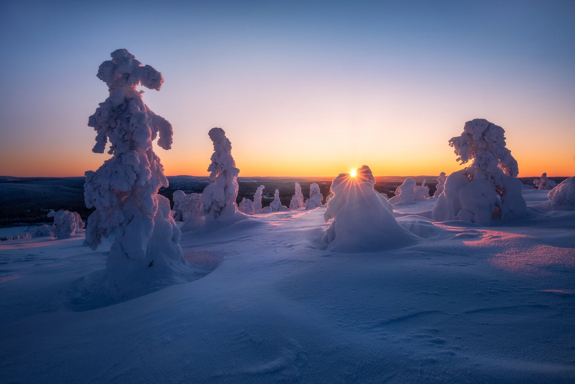 Finnish Lapland Photo Tour